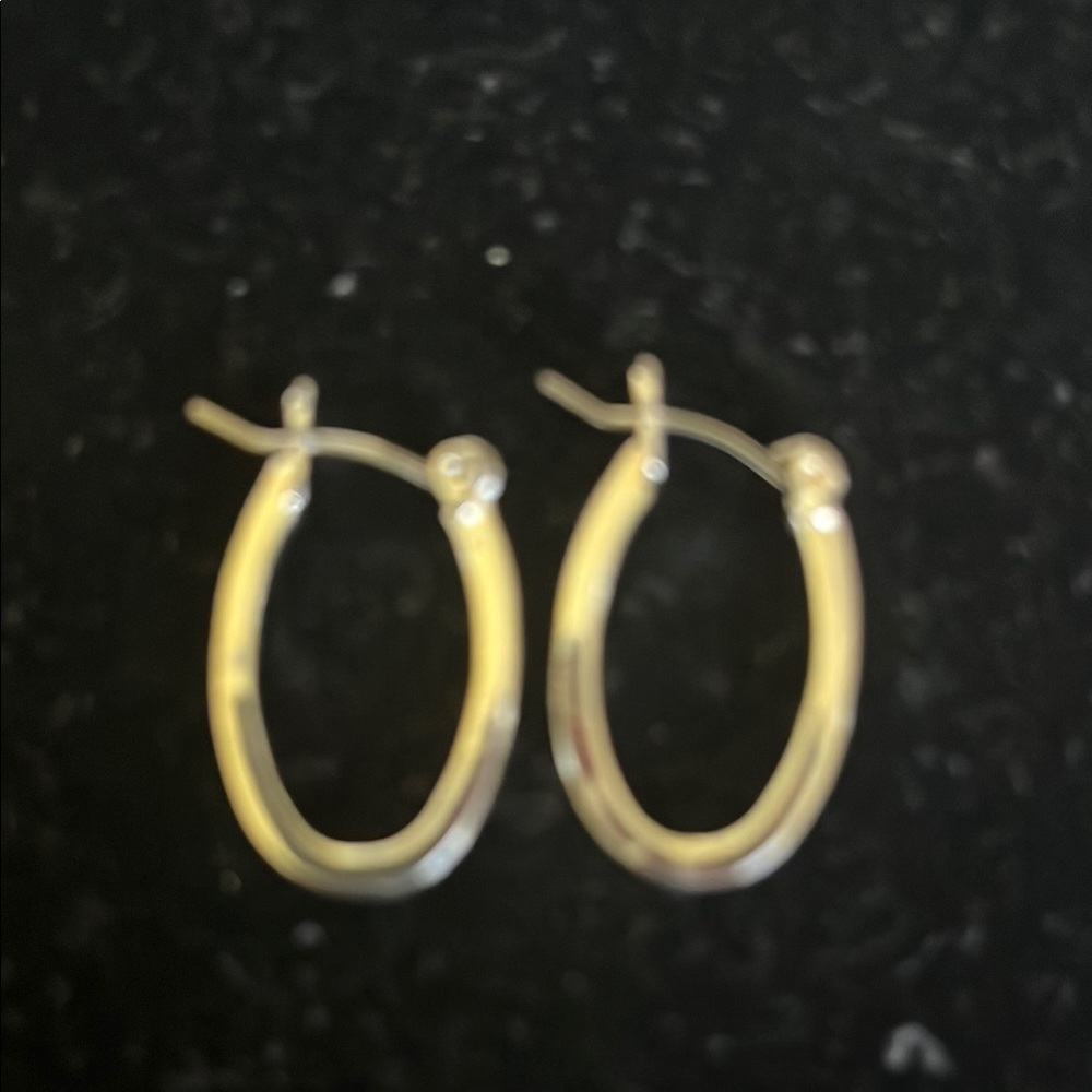 Elegant Silver Hoop Earrings